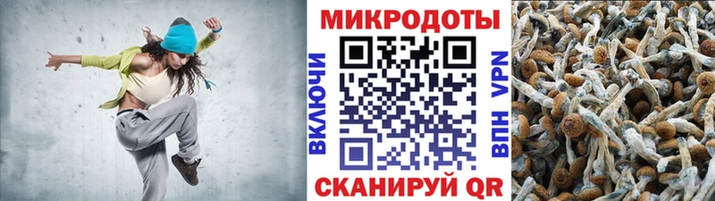 Галлюциногенные грибы GOLDEN TEACHER  мега ссылки  Красный Сулин  купить закладку 
