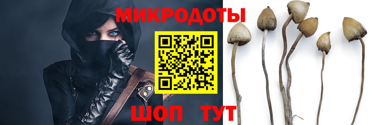 Псилоцибиновые грибы Magic Shrooms  Вход с VPN  Псилоцибиновые грибы Magic Shrooms  Красный Сулин 